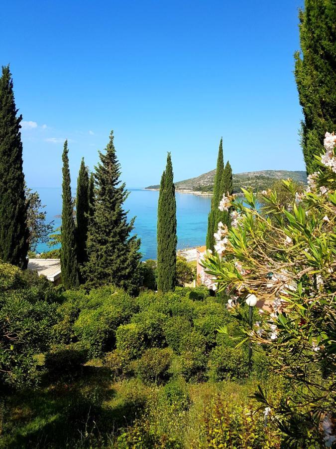 Villa Barbara Mlini Exterior photo